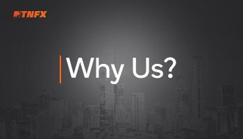 Why Choose Us